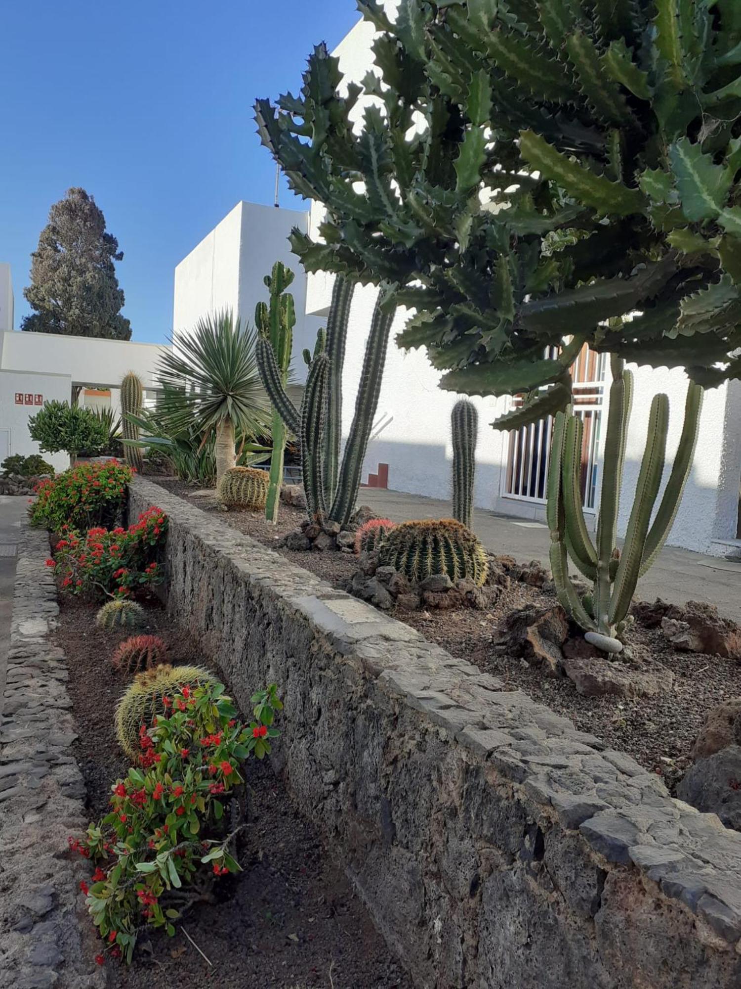 Precioso Apartamento Costa Del Silencio Kültér fotó