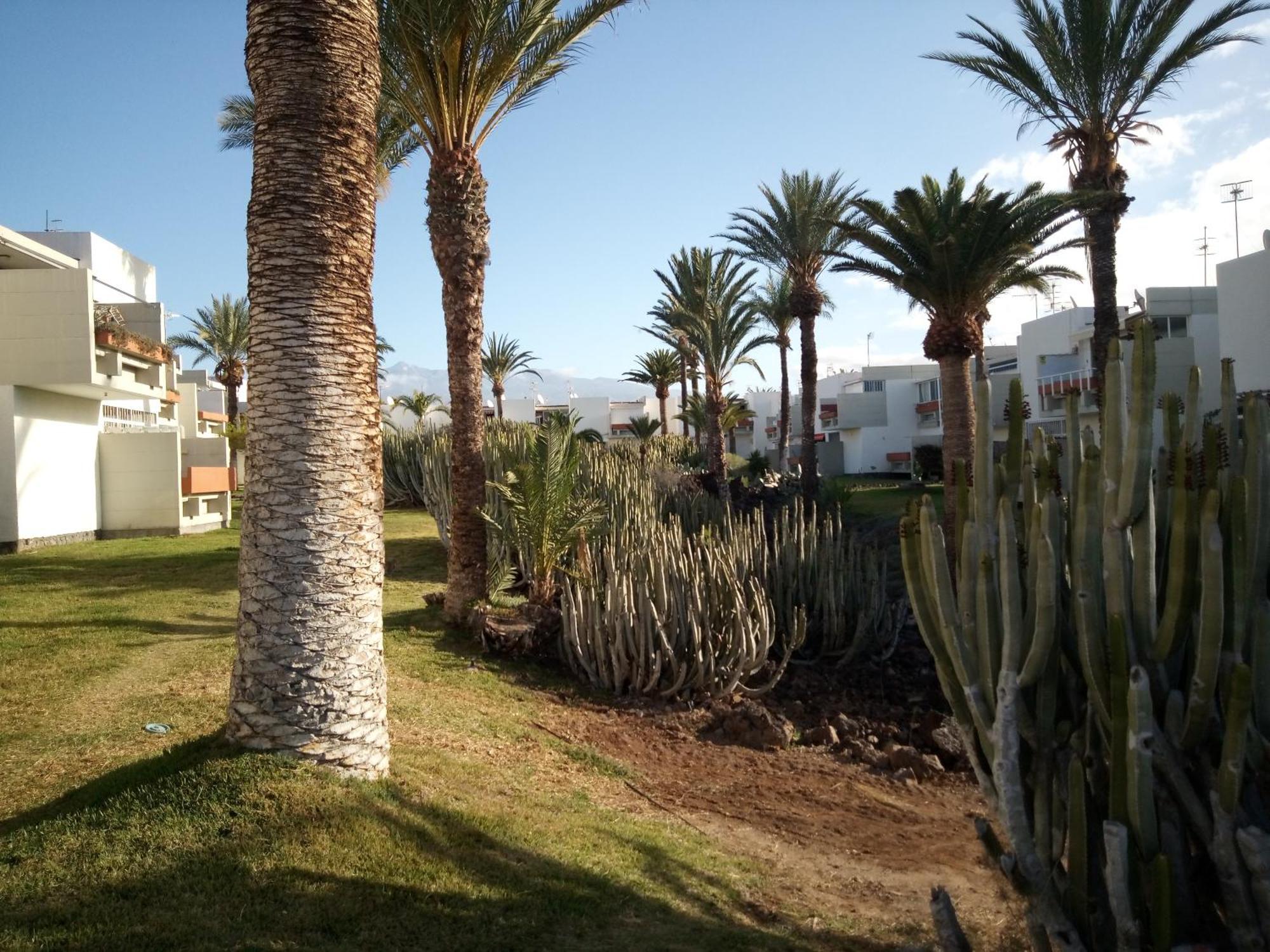 Precioso Apartamento Costa Del Silencio Kültér fotó